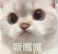 视频测试